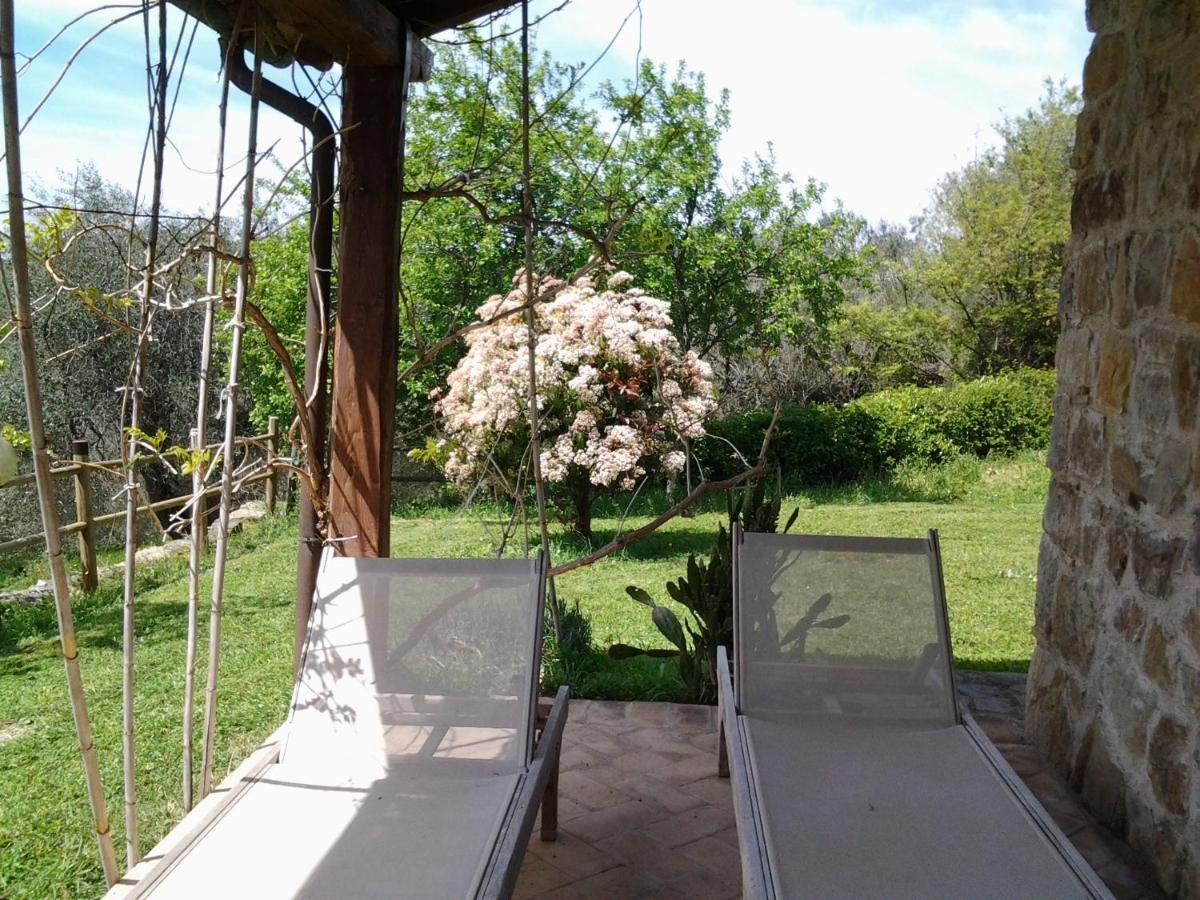 Agriturismo Casa Fibbianello Semproniano Exterior photo