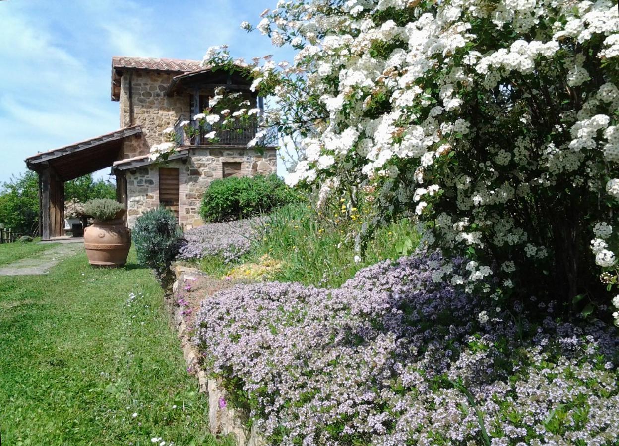 Agriturismo Casa Fibbianello Semproniano Exterior photo
