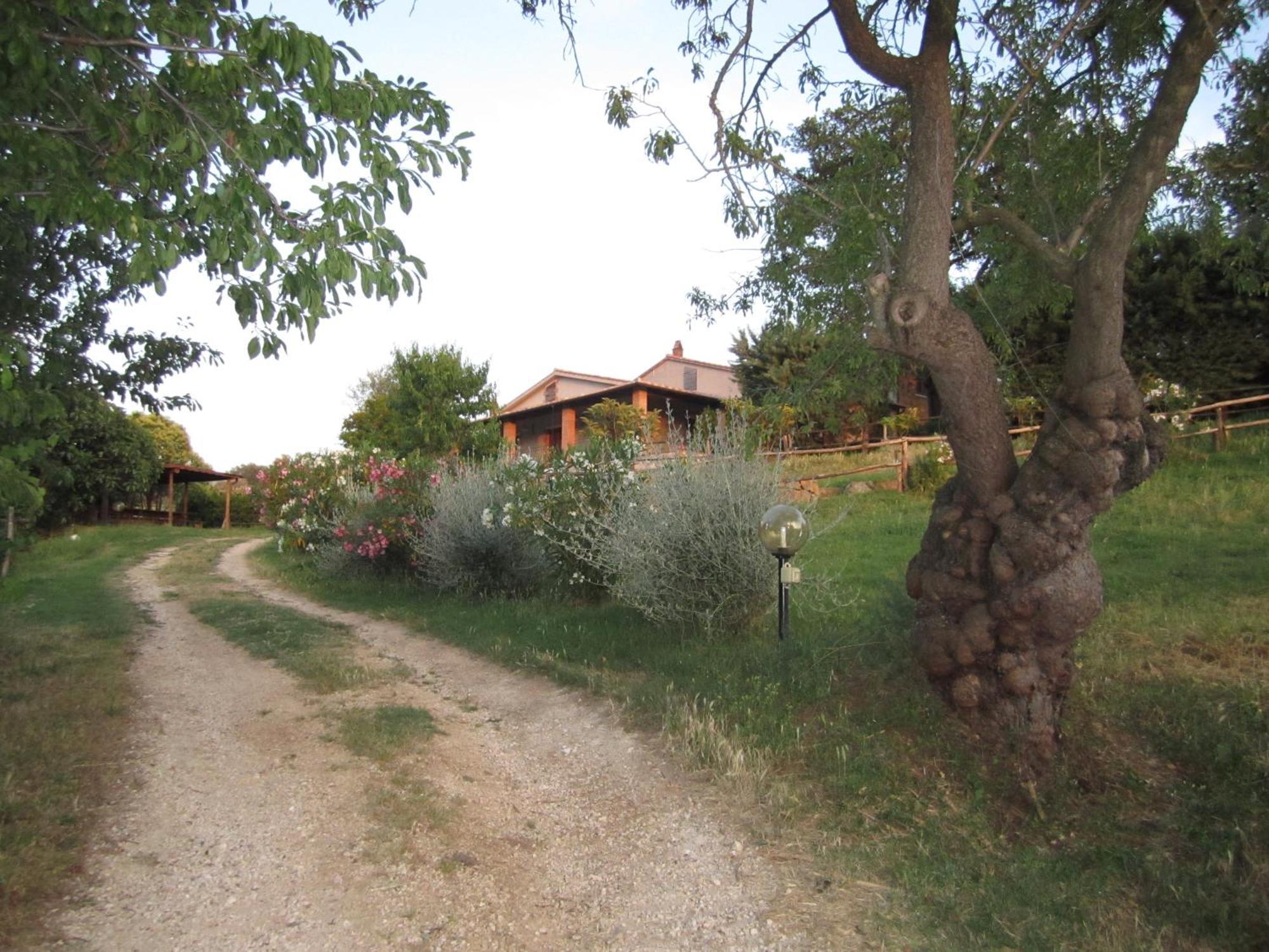 Agriturismo Casa Fibbianello Semproniano Exterior photo