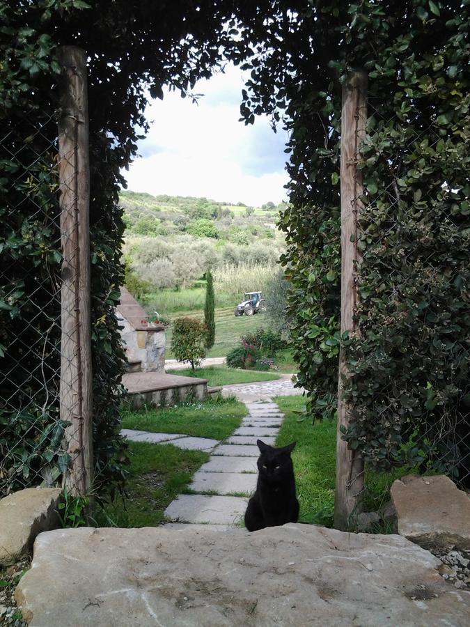 Agriturismo Casa Fibbianello Semproniano Exterior photo